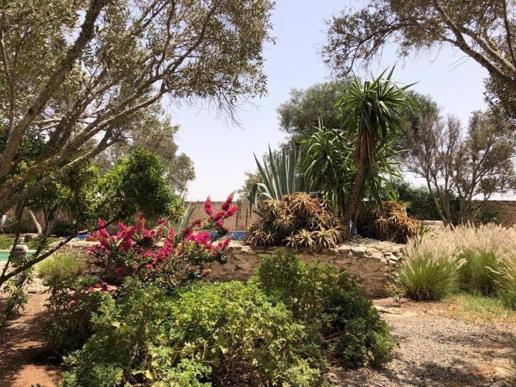 Hotel Les Jardins De Silona, Piscine Chauffee Essaouira Esterno foto