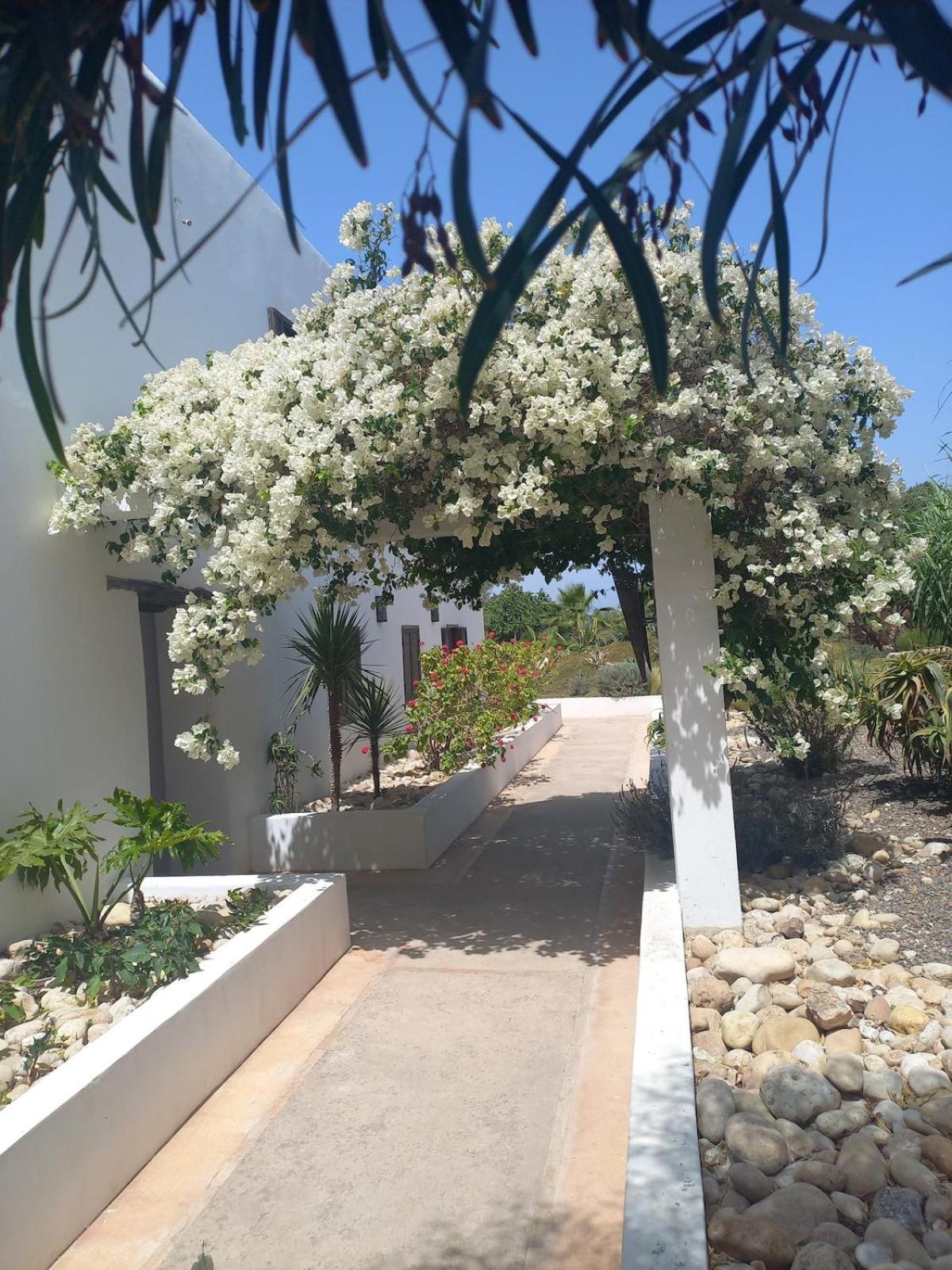 Hotel Les Jardins De Silona, Piscine Chauffee Essaouira Esterno foto